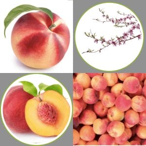 Akorn is the solution for prolonged peach freshness