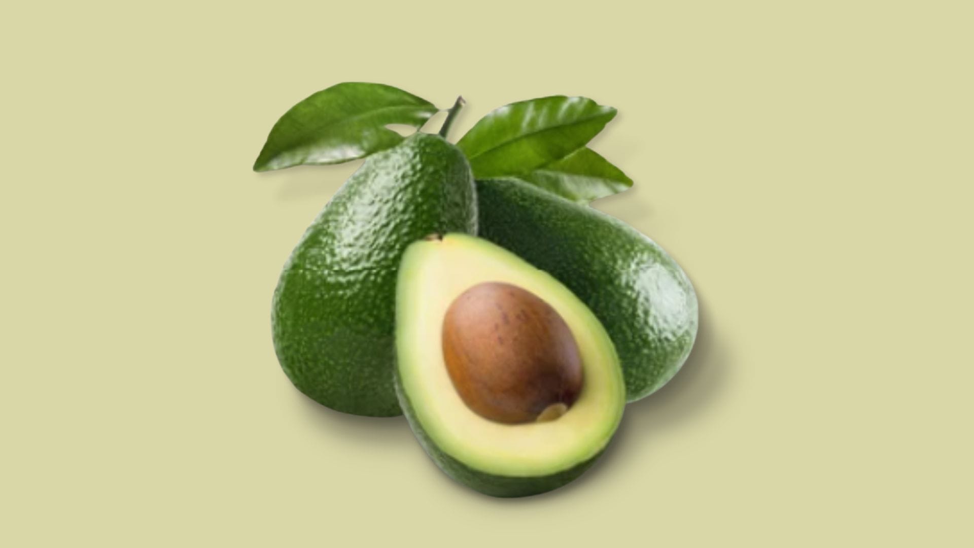 Akorn Natural™ Avocado