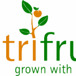 cutrifruit