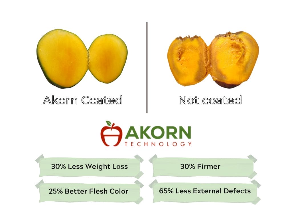 akorn mango has longer shelf life