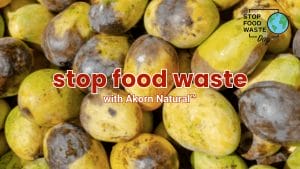 stop food waste with Akorn