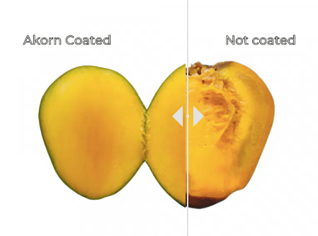 akorn mango vs control