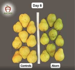 December is National Pear Month